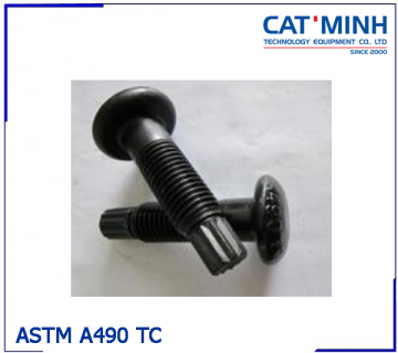 Bu lông ASTM A490 TC